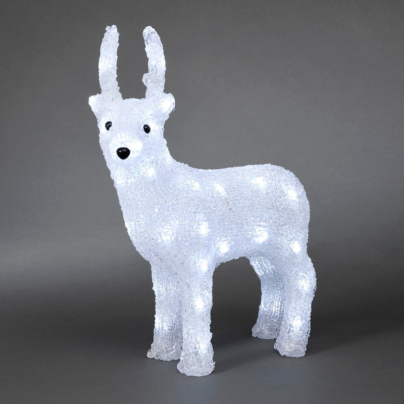Weihnachtsdekoration Mit Festlichen Rentieren